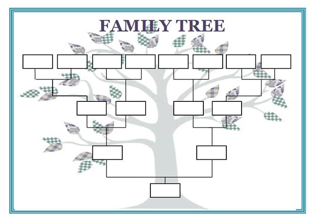 Microsoft Word Genealogy Template from template.net